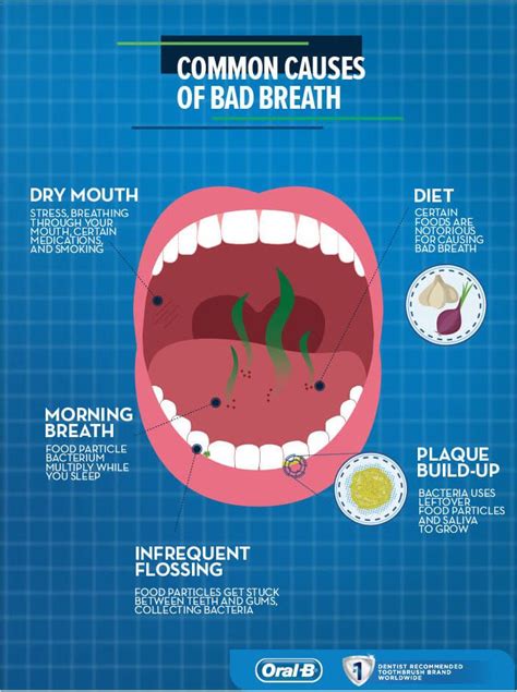 How To Prevent And Cure Bad Breath Gisborne Dental House