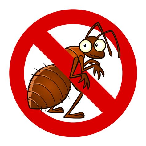 4 Ways To Prepare Your Home For Bug Season Seabreeze Beacon