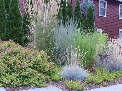 Ornamental Grass Colors Landscape Design Garden Design Ornamental
