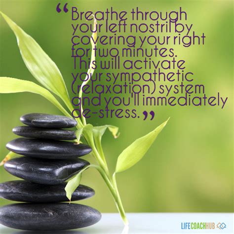We did not find results for: Life Coaching Tip: Breathe Through Your Left Nostril By ...