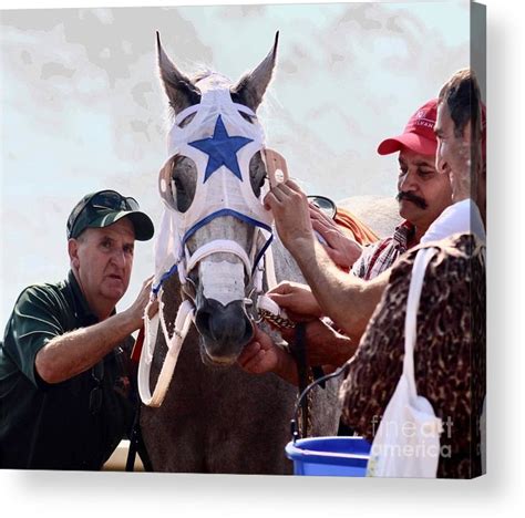 After The Race Acrylic Print By Leslie Gatson Mudd Acrylic Prints