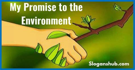 Below Are The 100 Best World Environment Day Slogans And Sayings Share