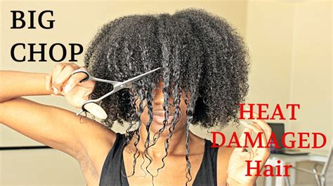 August 20, 2018 no comments. BIG CHOP 2016 On My HEAT DAMAGED HAIR Video - Black Hair ...