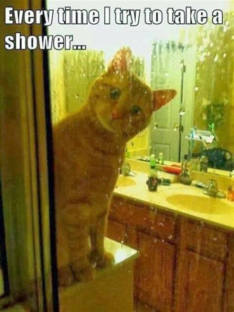 Every Time I Try To Take A Shower Monday Madness