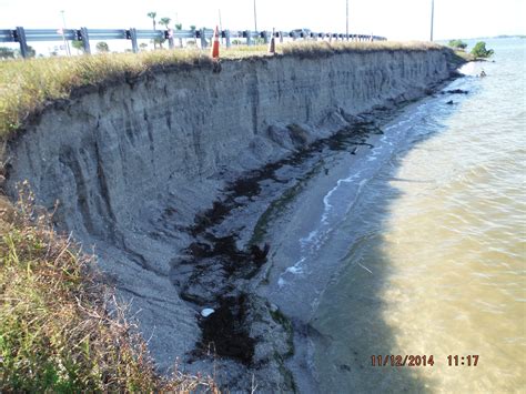 Impact Of Urbanization And Coastal Change On Floridas Mangrove