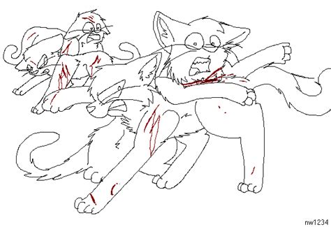 We are in a current need of admins,if you'd like to become one you'll just have to message us with your oc bio and it's. Cat fight lineart by xXTwistedRainbows on DeviantArt