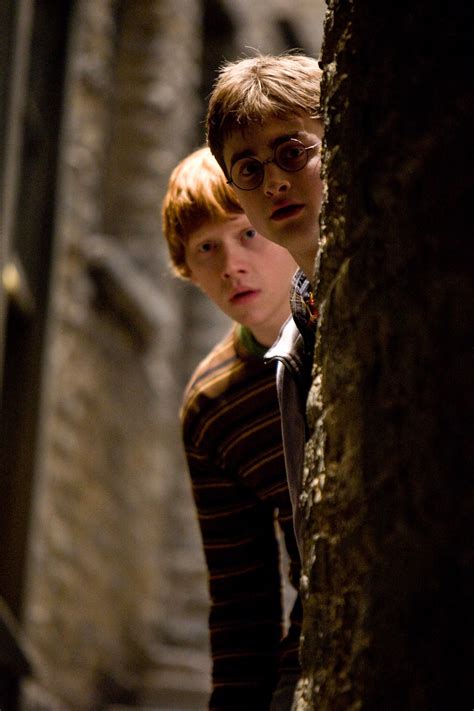 Harry And Ron Harry Potter Photo 3309053 Fanpop