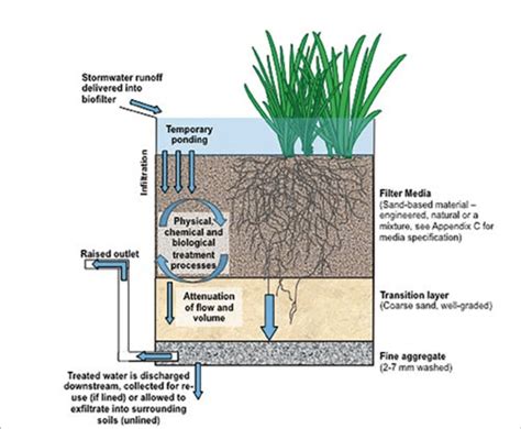 Key Principles Of Stormwater Biofiltration Download Scientific Diagram