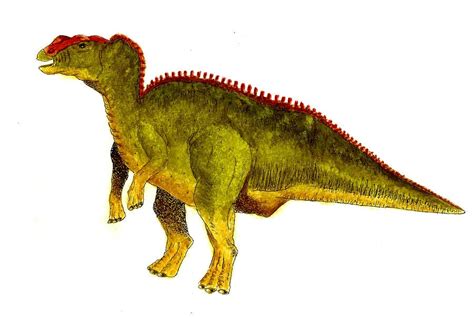 Hadrosaurus Pictures And Facts The Dinosaur Database