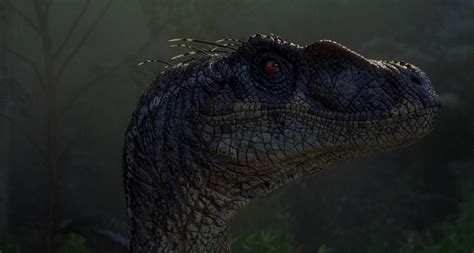 Jurassic Park 3 Velociraptor Call