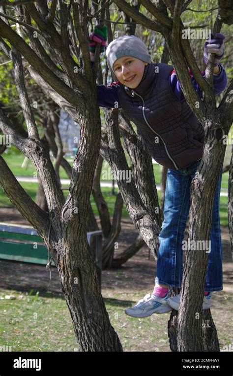 Lustige Verspielte Mädchen Klettern Auf Einen Baum Im Park Kinder Im Freien Urlaub Im Sommer