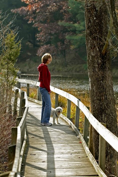 If They Could Talk Take A Hike Tips For Hitting The Trails With Your Dog