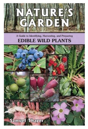 10 Wild Edible Plants For Survival Wild Edible Plant Reviews