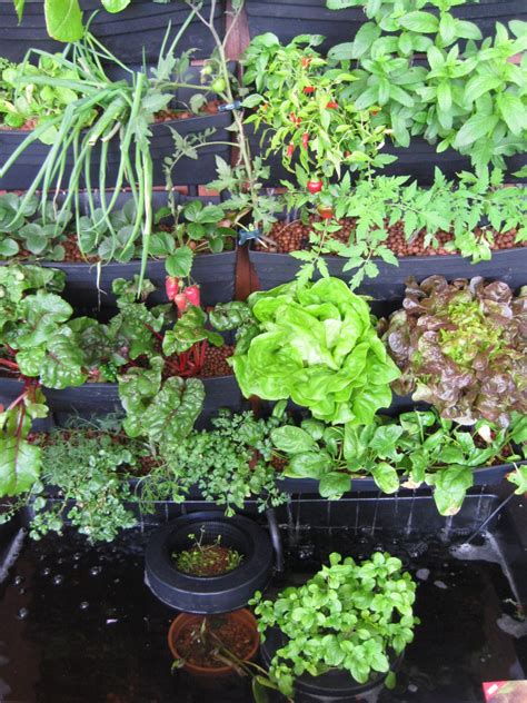 23 Diy Aquaponics Systems To Grow Vegetables And Fish