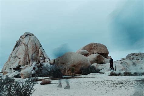 The Artists Residency Exploring Joshua Tree With Dylan Gebbia