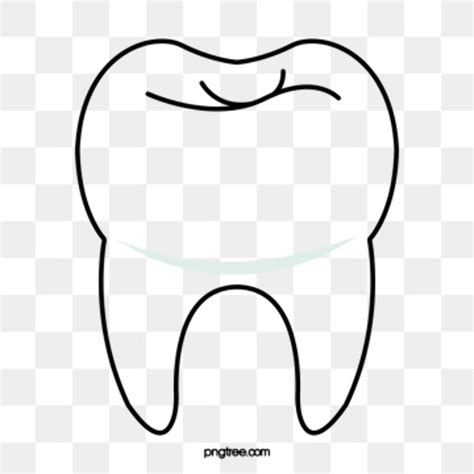 Download High Quality Tooth Clipart Vector Transparent Png Images Art