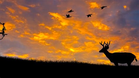Free Download 23 Hunting Backgrounds Wallpapers Images Pictures Design