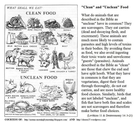 Clean And Unclean Food List — Steemit