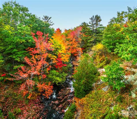 Bright Fall Foliage Over Stream In Acadia National Park Stock Photo