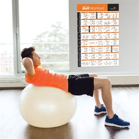 Stability Swiss Yoga Ball Exercise Poster Laminated 20x30