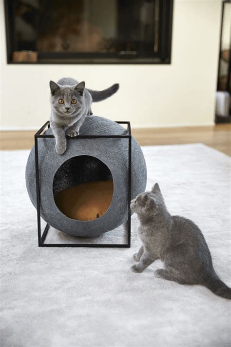 34 Adorable Cat House Pets Design Ideas Browsyouroom Designer Cat