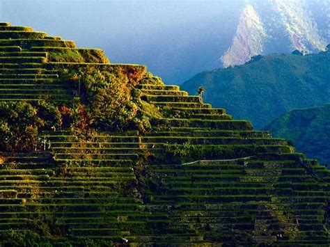 Rice Terraces Of The Philippine Cordilleras World Monuments Fund