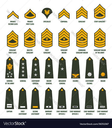 Enlisted Army Ranks The Army Enlisted Ranks In The Ar