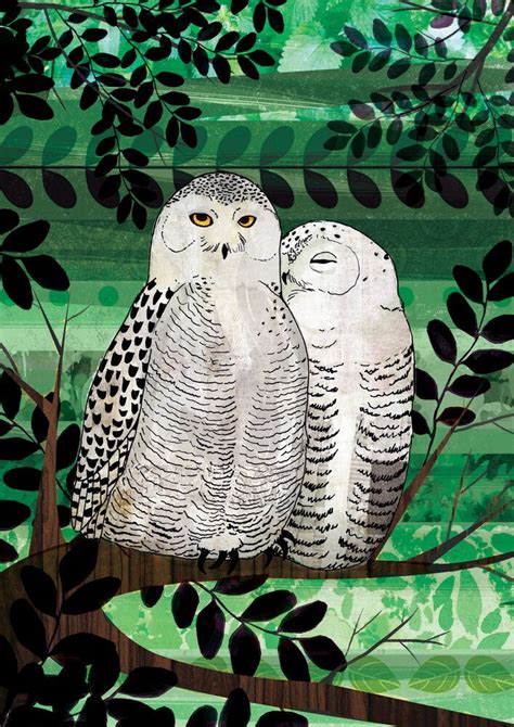 Katherine Blower Snowy Owls United Kingdom Europe Fine Art Prints