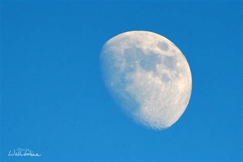 Waxing Gibbous Moon William Wise Photography