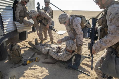 Dvids Images 1st Battalion 7th Marines Executes Trap Mission