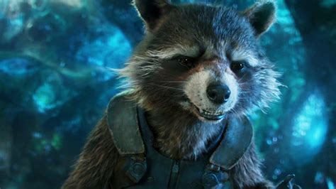 Guardians Of The Galaxy Vol 2 Rocket Raccoon Funny