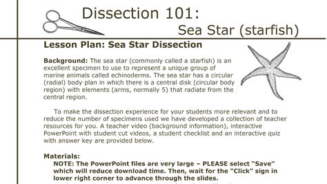 Dissection 101 Detailed Sea Star Dissection Part 2 Of 2 Pbs