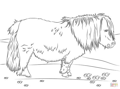 Dieser pinnwand folgen 386 nutzer auf pinterest. Cute Shetland Pony coloring page | Free Printable Coloring Pages