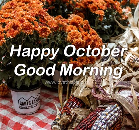 Orange Flower Happy October Good Morning Quotes Pictures Photos And
