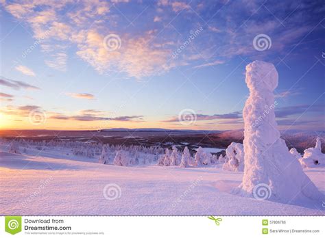 Sunset Over Frozen Trees On A Mountain Levi Finnish Lapland Stock