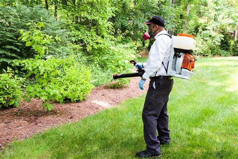 Scheduled sprays used by these misters may needlessly. 3 Ways to Have a Mosquito Free Summer
