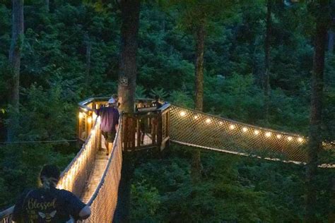 Gatlinburg Treetop Skywalk Everything You Need To Know Addicted To