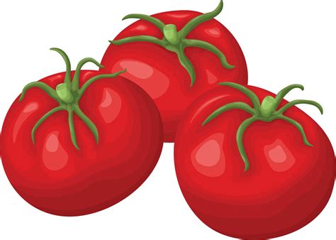 Tomatoes Red Ripe Tomatoes Image Of Ripe Vegetables Three Tomatoes