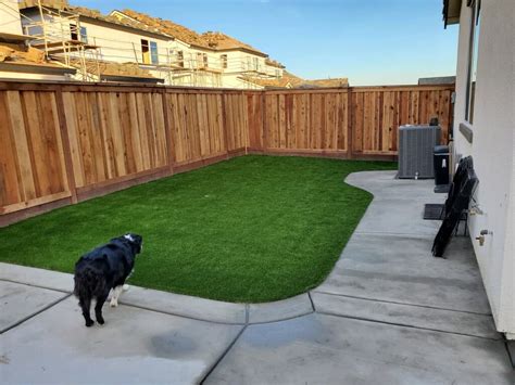 Please follow this link for more. Artificial Grass for Dogs | Pet Turf | Bella Turf and ...