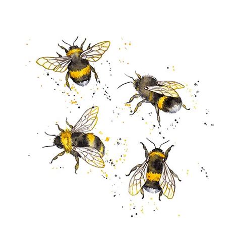 Pattern Design Honey Bees And Bumble Bees — Amy Holliday Illustration