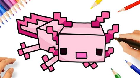 Axolotl Minecraft Drawing Easy 6 98 Mb How To Make An Axolotl Plushie
