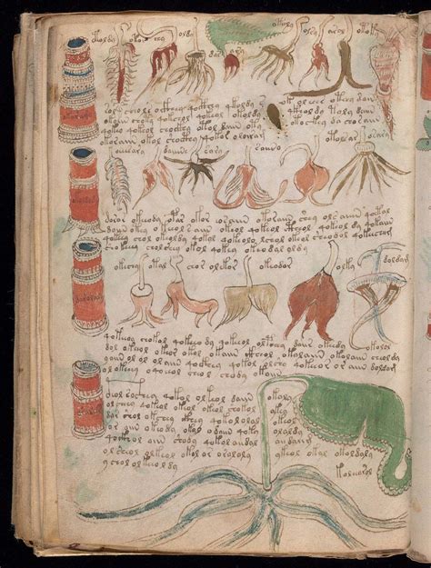 Voynich Manuscript Medieval Ciphertext Illuminated Texts