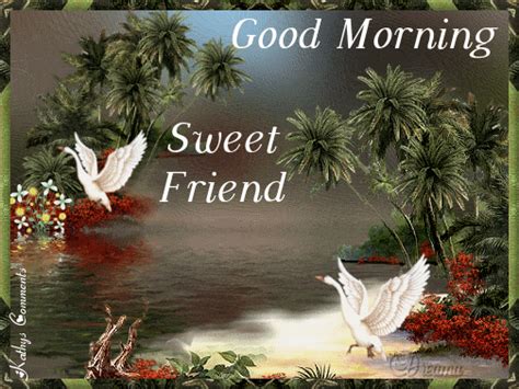 Good Morning Sweet Friend Pictures Photos And Images For Facebook