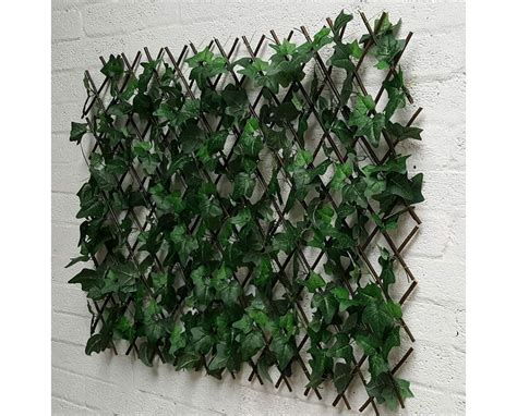 Gsd Wonderwal Trellis English Ivy 1m X 1m