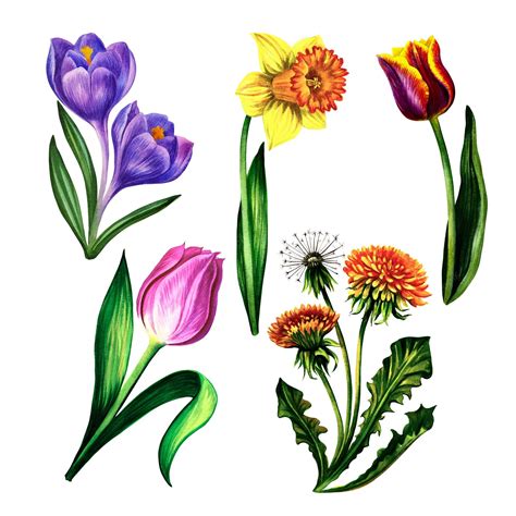 Premium Photo Set Of Spring Flowers Watercolor Illustration