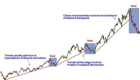 Market Psychology And Price Action Trends Trading Coach Learn Price Action Trading In India