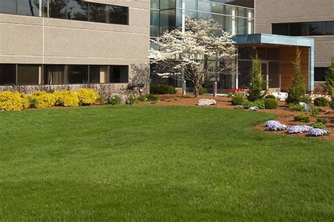 At scenic, we understand how much pride and. Commercial Landscapers Near Me For Increased Curb Appeal ...
