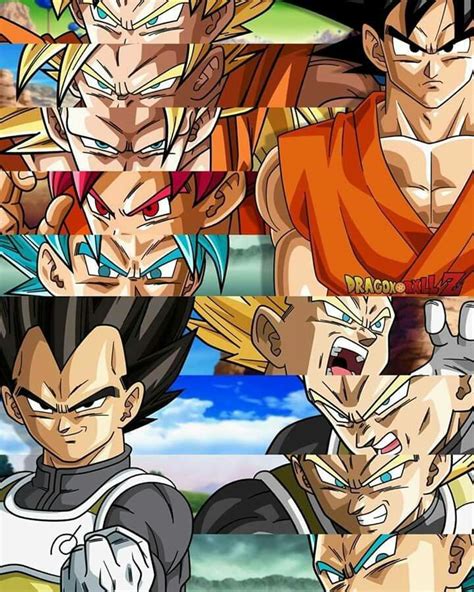 A beloved breakout character, vegeta's popularity and iconic competitiveness with goku led to him becoming a classical example of the rival, and by the end of z and especially super, the. Goku y Vegeta transformaciones | Anime nerd, Dragon ball z ...