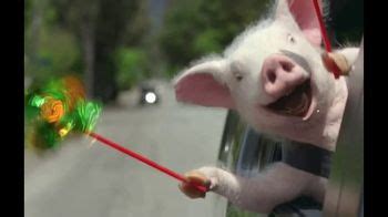 Can't get enough of geico's great commercials? GEICO TV Commercial, 'Camel on Hump Day' - iSpot.tv