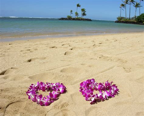 Ohana Aloha Spirit Gives A Hawaiian Perspective Of The Good Life